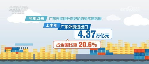 4.2万亿元 粤港澳大湾区内地九市外贸规模创新高